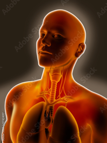 Illustration: Sore Throat Sore Throat