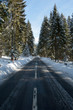 route au milieu des bois enneigé