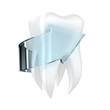 Human tooth
