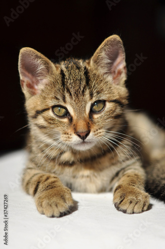 photo par pralinette