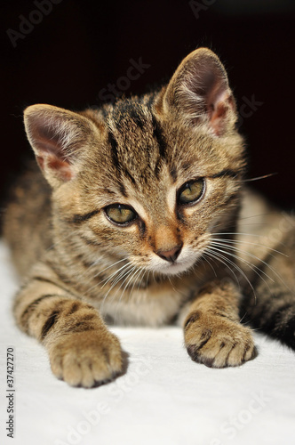 photo par pralinette