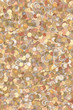 Euro coins background