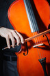 Man playing the cello Man playing the cello
