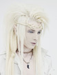 Handsome elf