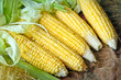 corn cob with green leaves