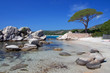 Spiaggia di Palombaggia