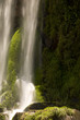 natureza