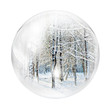 winter forest in bubble