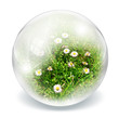 daisies inside sphere