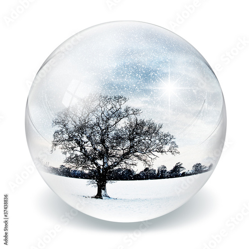 Photo: snow tree in bubble snow tree in bubble
