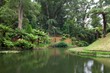 The famous beauty botanic garden on Azores