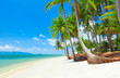 tropical beach with coconut palm trees. Koh Samui, Thailand