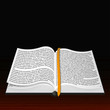 Vector open Bible. Best choice