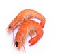 Gambas