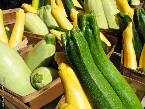 Photo: Yellow andGreen Squash Yellow andGreen Squash