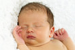 Newborn Baby Sleeping.