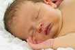 Newborn Baby Sleeping.