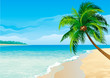 Vector: Coconut palm tree Coconut palm tree