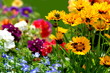 Blumenbeet