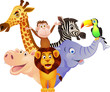 Animal cartoon