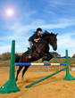 Foto: saut d'obstacle saut d'obstacle