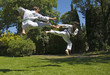 taekwondo
