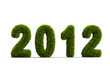 2012 new year grass concept