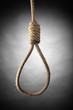 noose isolated noose isolated