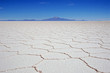 salar