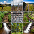 Collage Schwarzwald