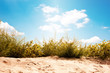 Photo: landscape landscape