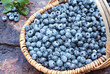 Photo: Fresh Blueberries in a Basket Fresh Blueberries in a Basket