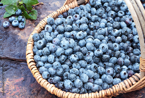 Photo: Fresh Blueberries in a Basket Fresh Blueberries in a Basket