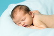 Newborn Baby Sleeping.