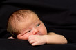 Newborn Baby Sleeping.