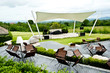outdoor stage in front of forest