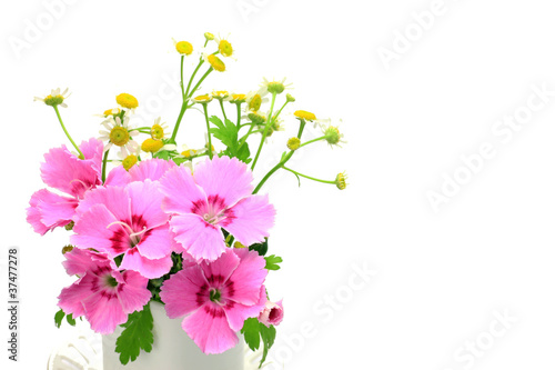Photo: carnation and small chrysanthemum carnation and small chrysanthemum