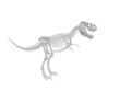 Dinosaur skeleton