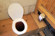 Longdrop toilet