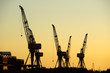 Cranes silhouetted
