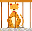 Tiger in cage