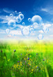 bubbles over meadow