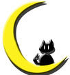 gatto