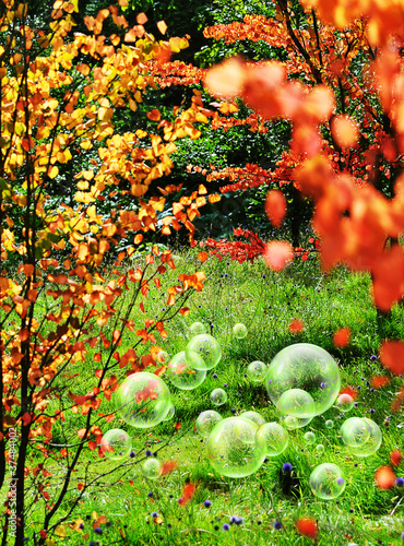 Foto: summertime bubbles summertime bubbles