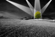 Environment Environment