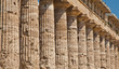Paestum temple - Italy