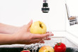 The ripe apples are washed in the kitchen. The ripe apples are washed in the kitchen.