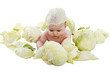 baby in the cabbage baby in the cabbage