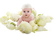 baby in the cabbage baby in the cabbage