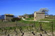 Cabanes de vigne Cabanes de vigne